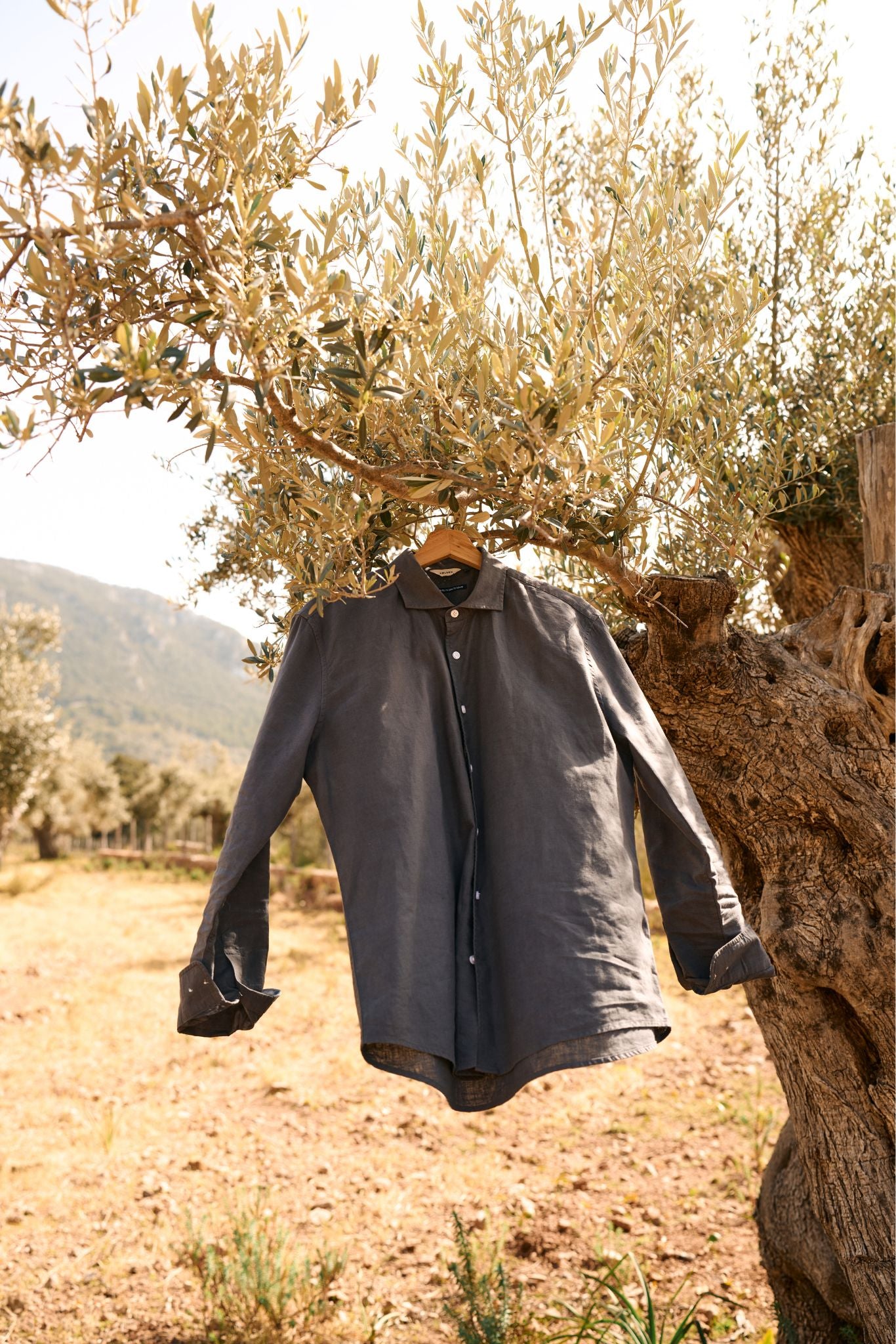 Linen Shirt Lindo Olive Green